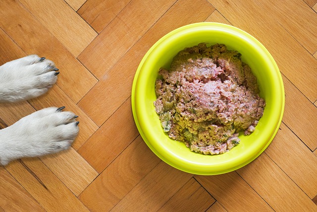 Få poterne i de bedste deals: Hundefoder tilbud du ikke vil gå glip af
